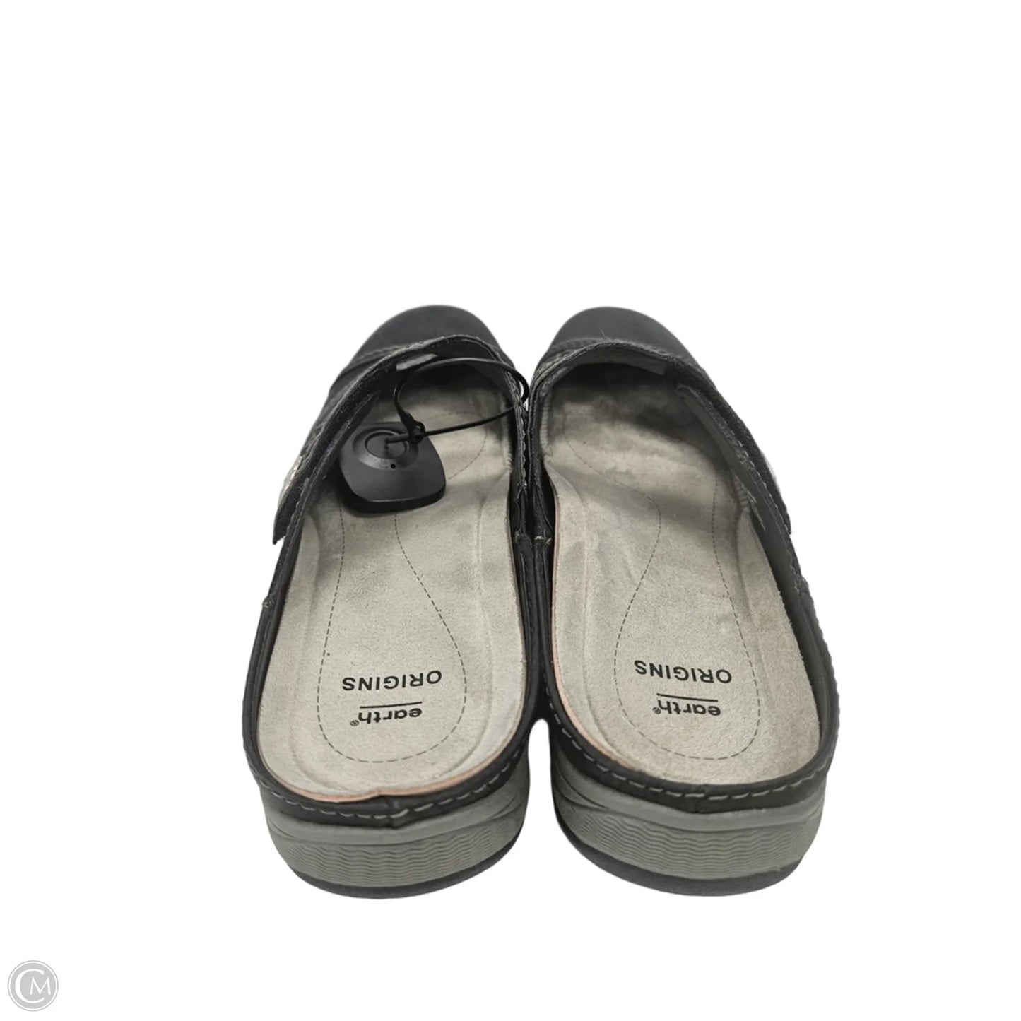 Shoes Flats By Earth In Black, Size: 9