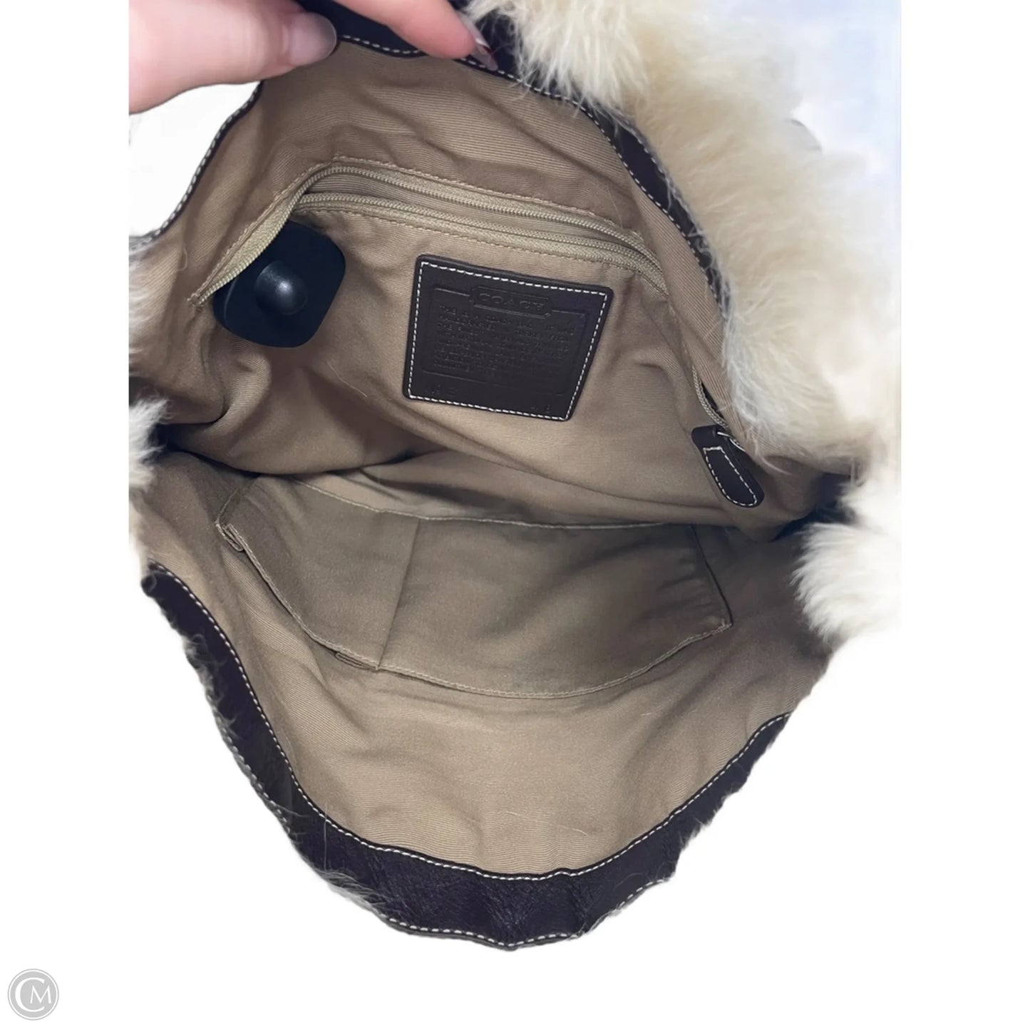 Handbag Designer By Coach