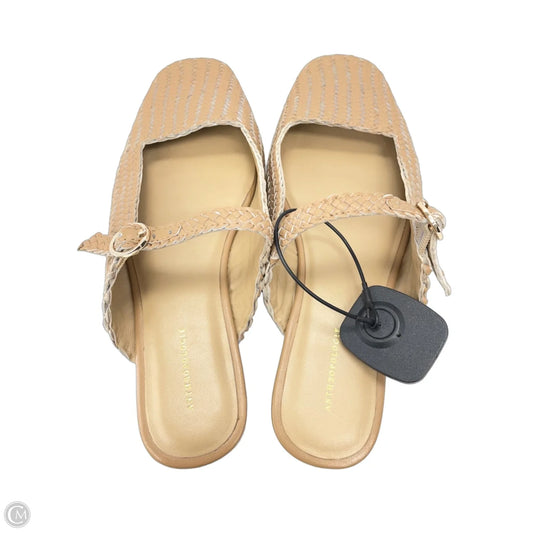 Shoes Heels Block By Quince In Black & Cream, Size: 7