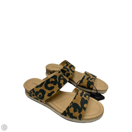 Sandals Heels Wedge By Lucky Brand In Animal Print, Size: 7