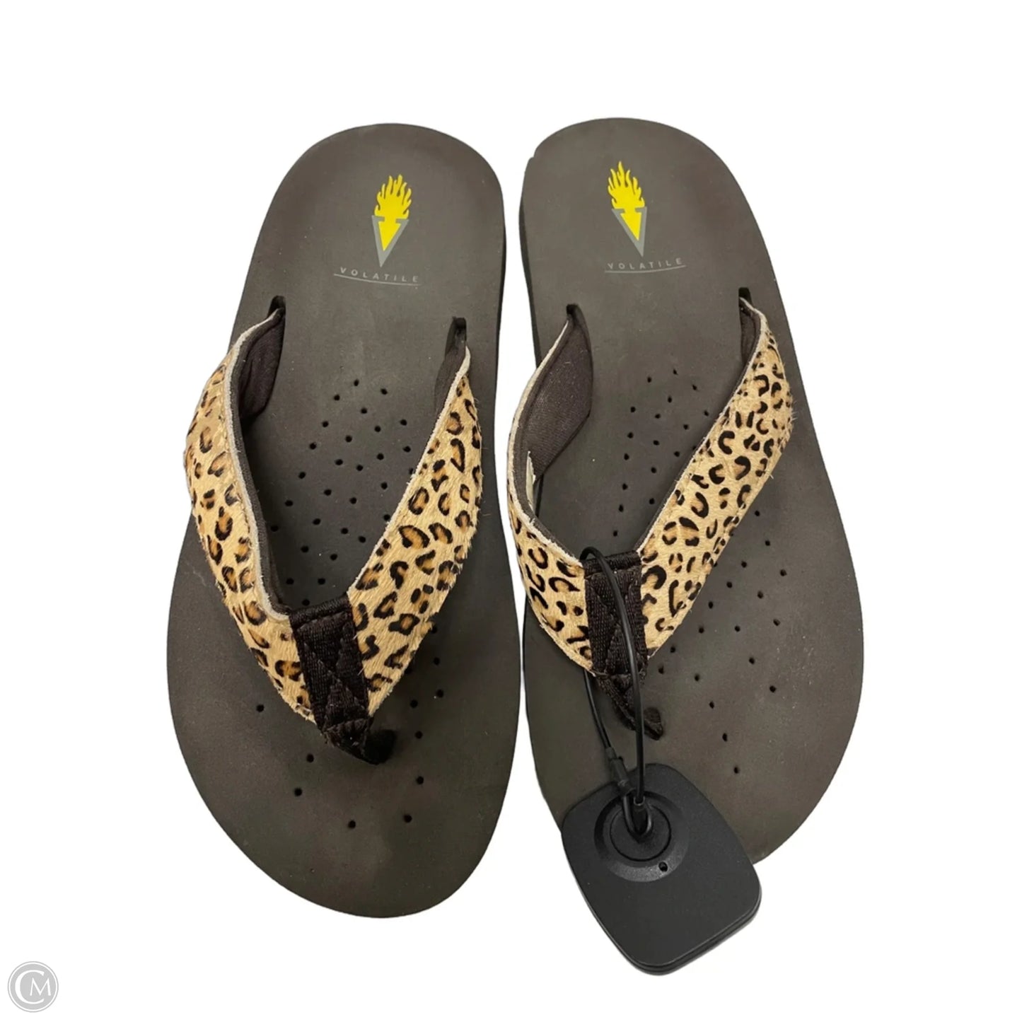 Sandals Flats By Volatile In Brown, Size: 7