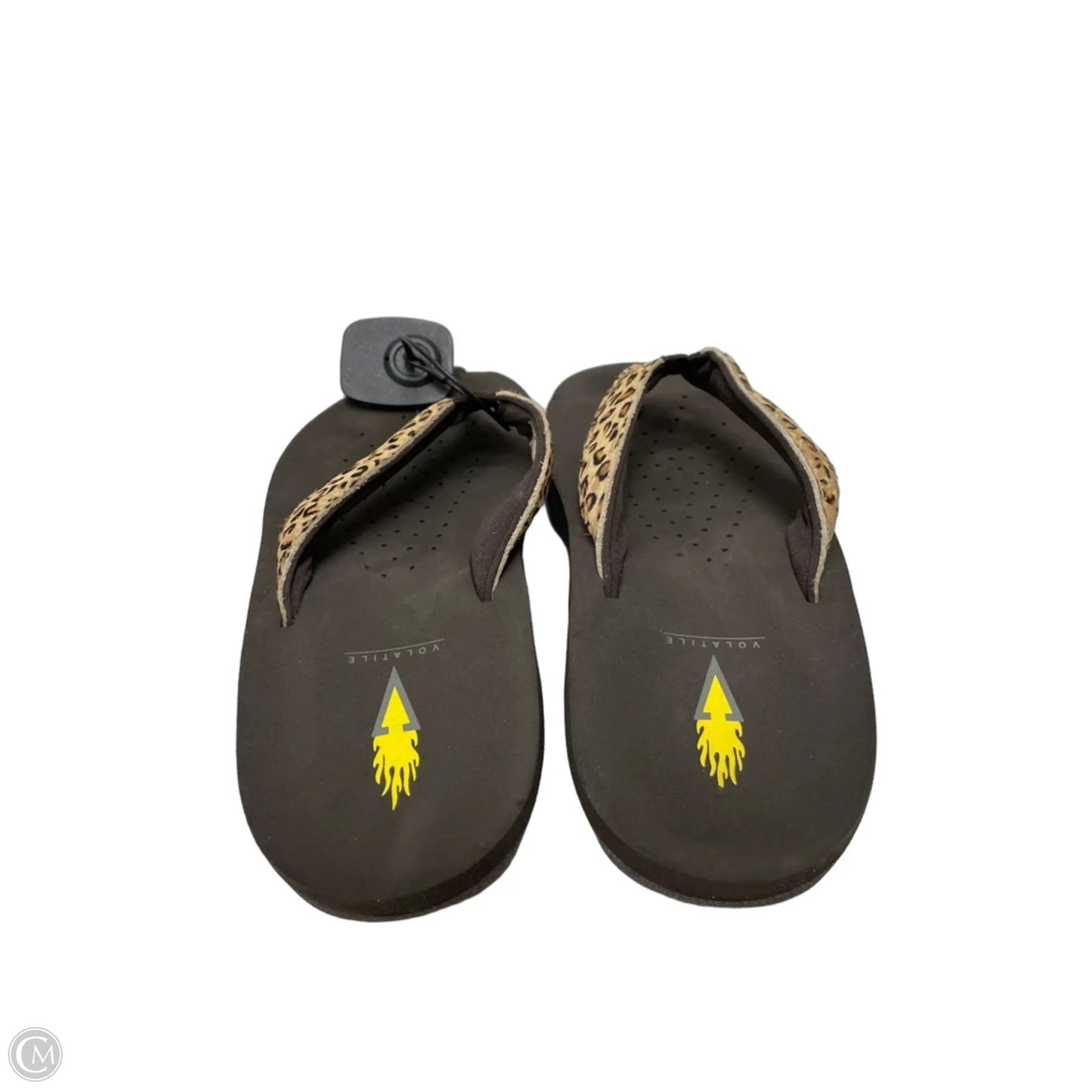 Sandals Flats By Volatile In Brown, Size: 7