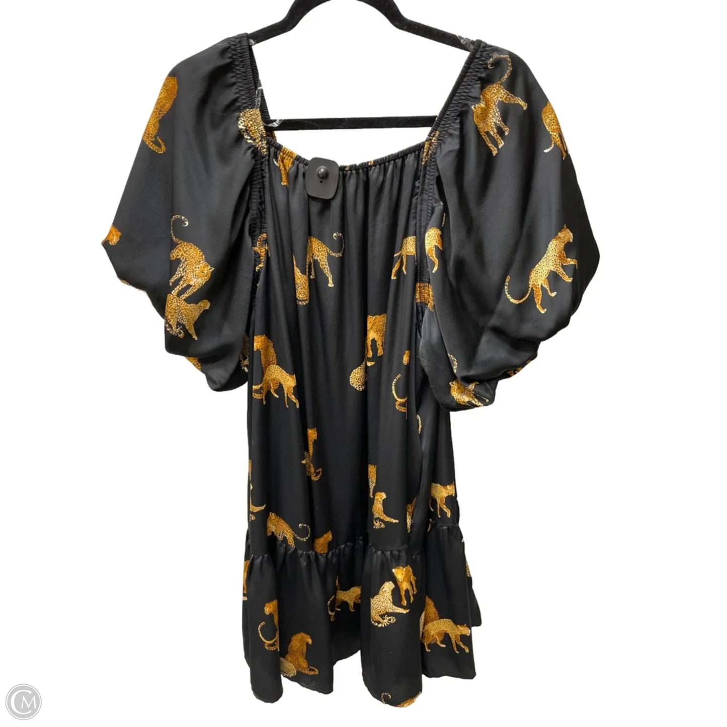 Dress Casual Short By Entro In Black, Size: 1x