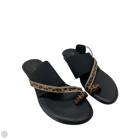 Sandals Flats By Toscanella In Multi-colored, Size: 7.5