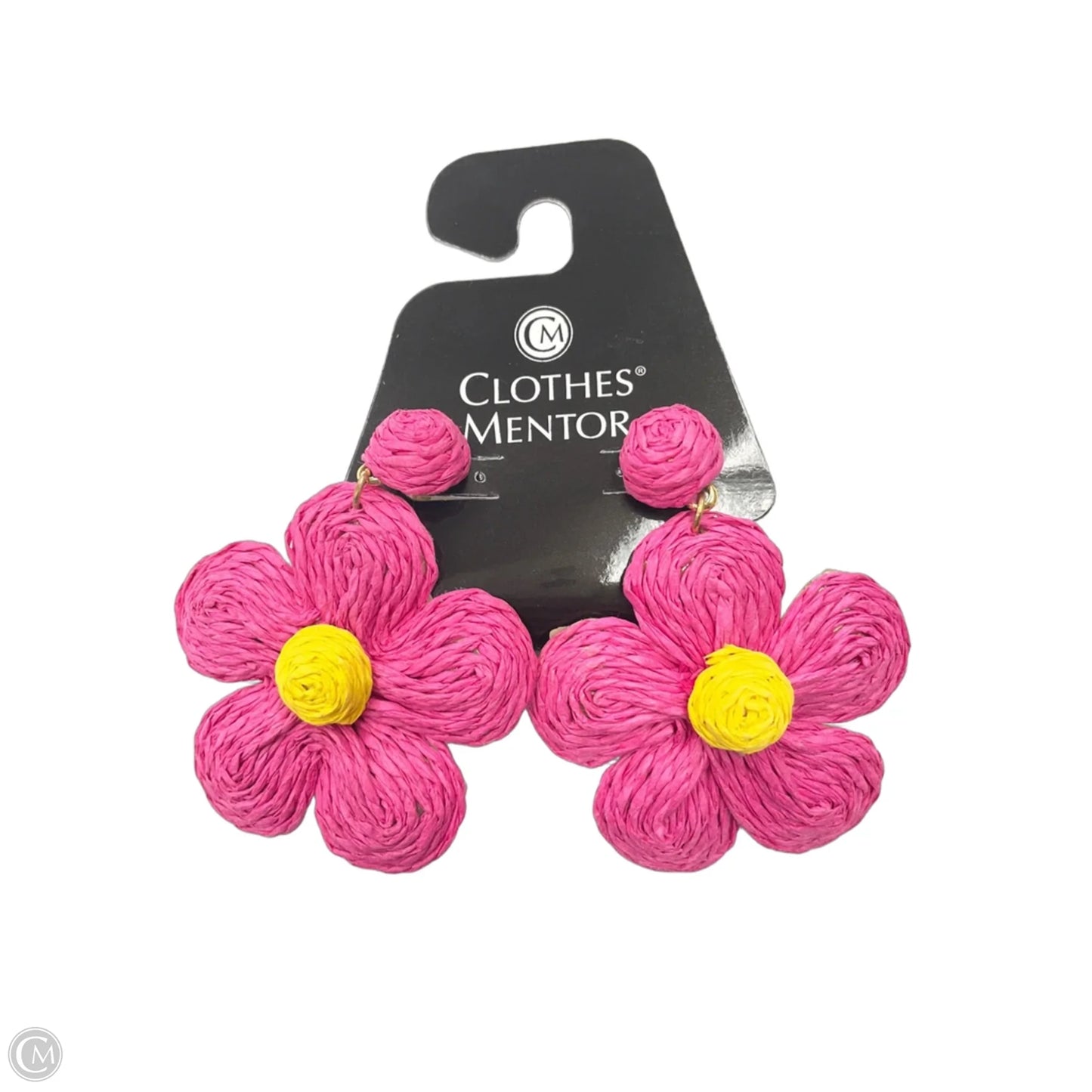 Earrings Dangle/drop By Clothes Mentor