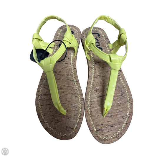 Sandals Flats By Circus By Sam Edelman In Yellow, Size: 8.5