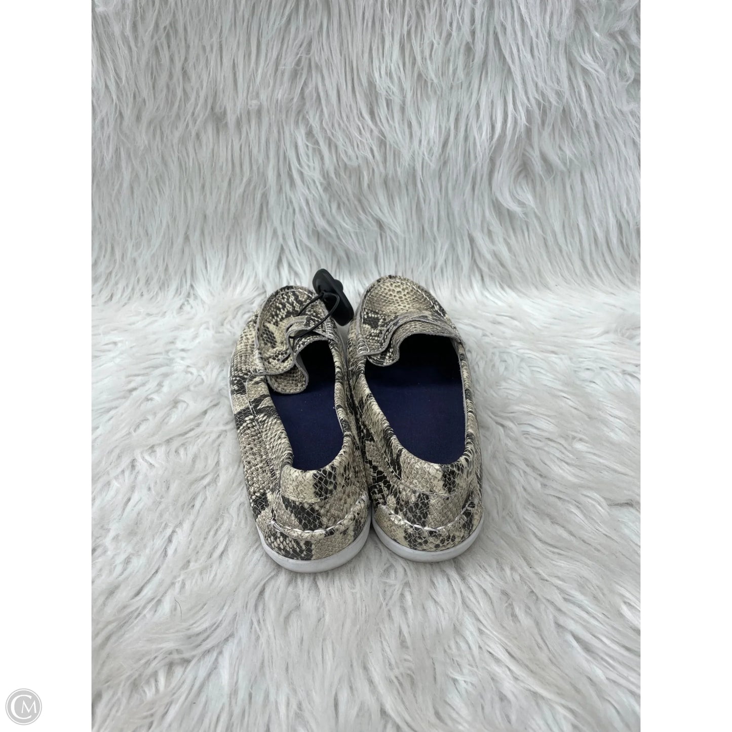 Shoes Flats By Cole-haan In Snakeskin Print, Size: 8.5