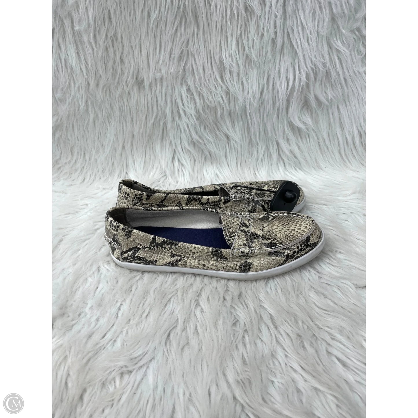 Shoes Flats By Cole-haan In Snakeskin Print, Size: 8.5
