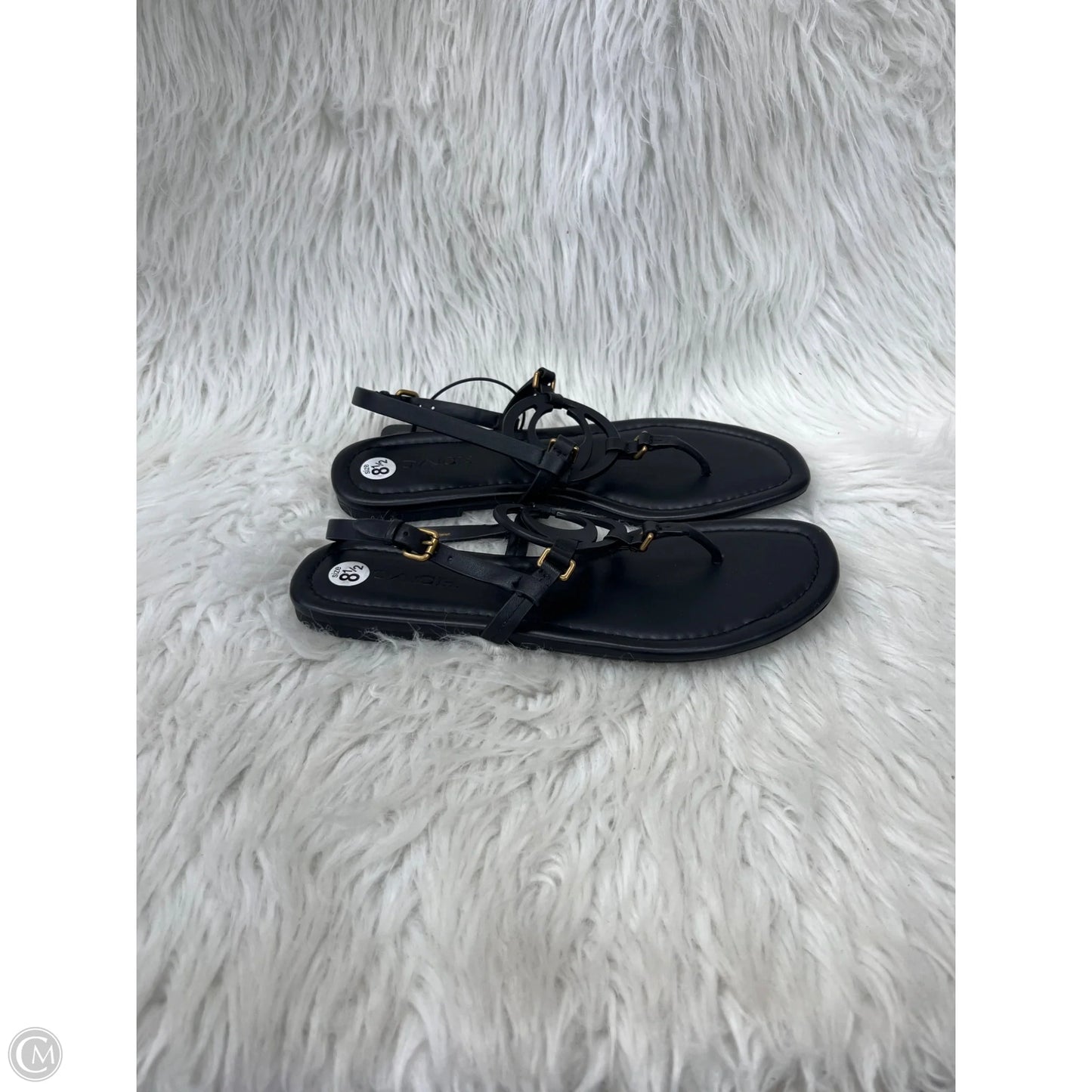 Sandals Designer By Coach In Black, Size: 8.5