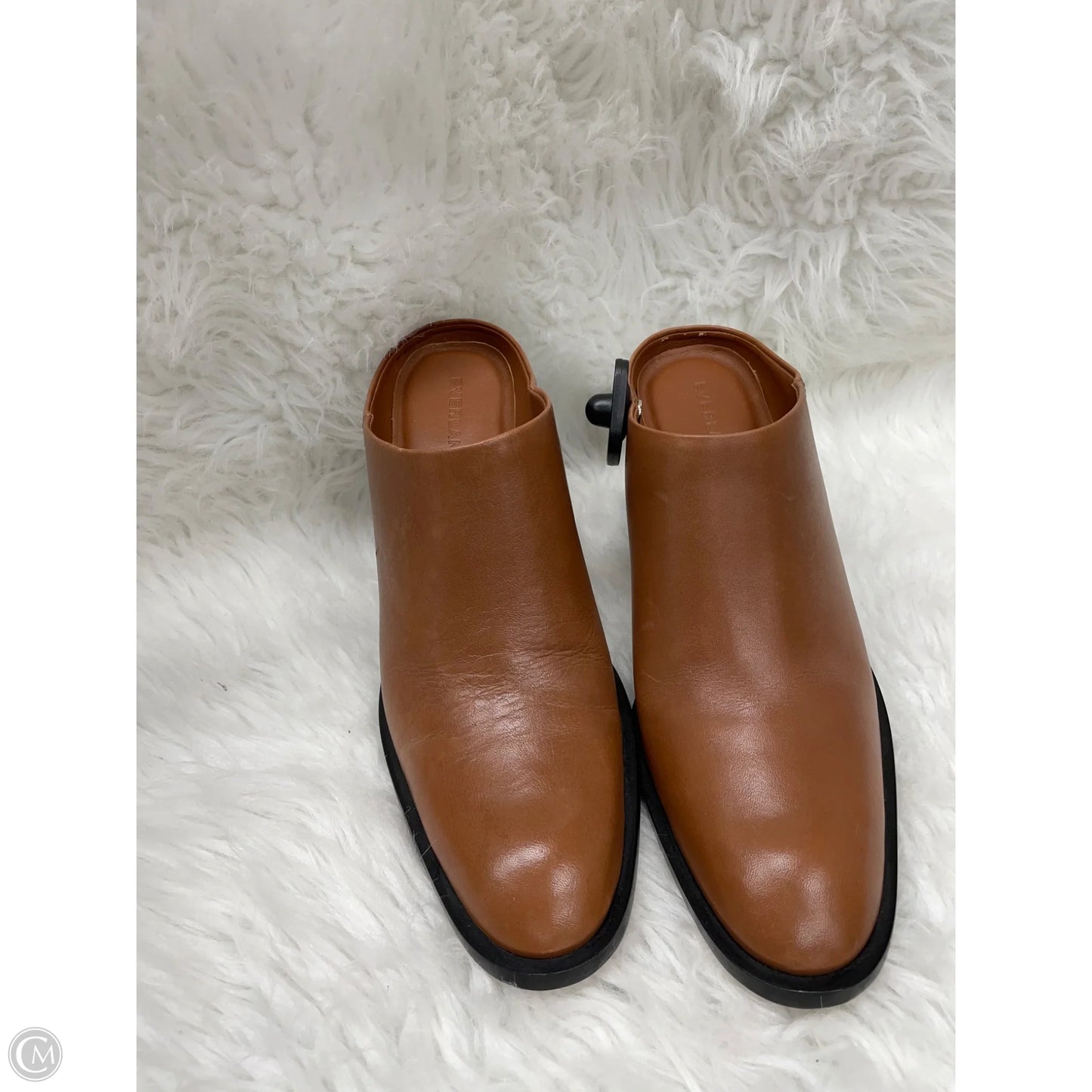 Shoes Heels Block By Everlane In Black & Tan, Size: 8.5