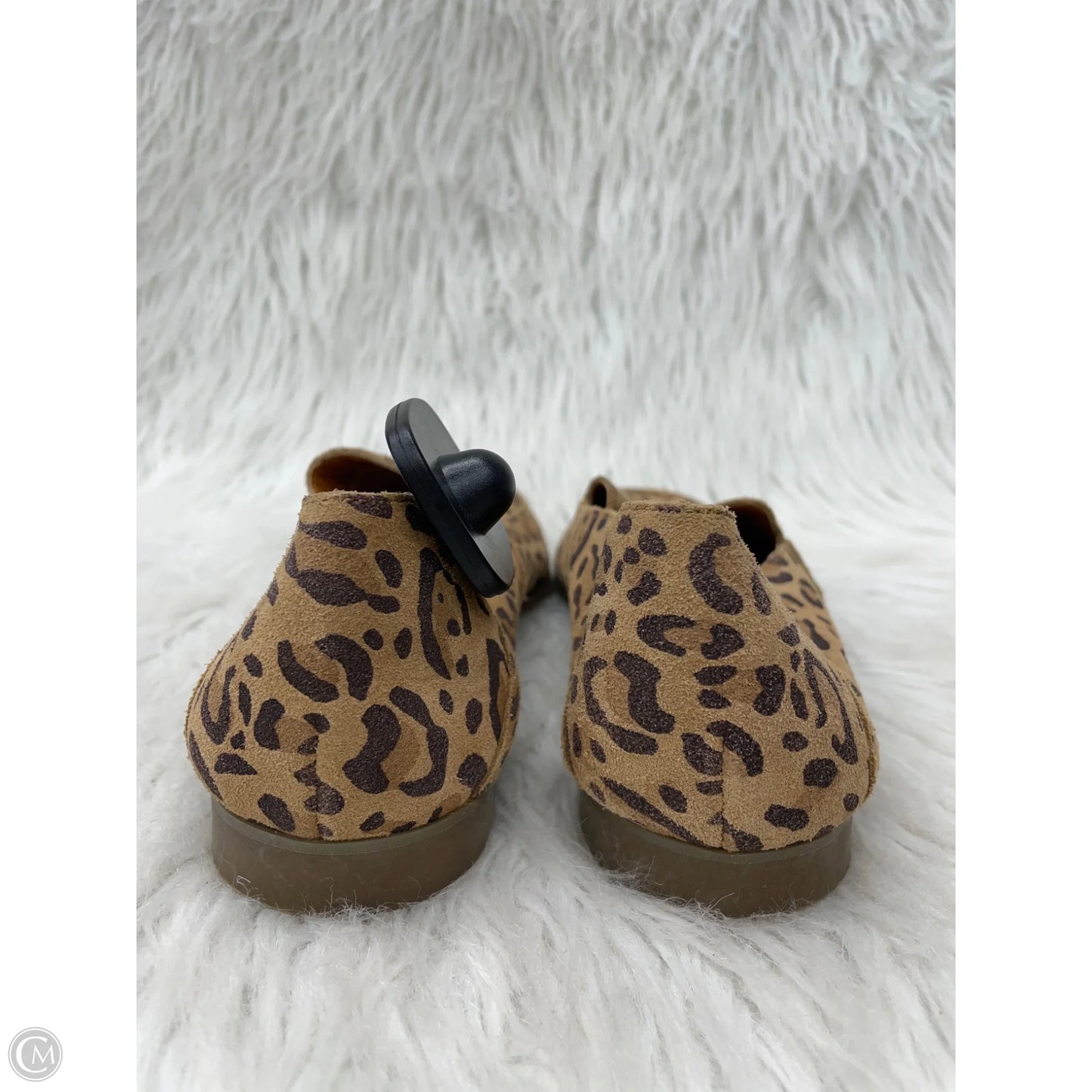 Shoes Flats By Lucky Brand In Animal Print, Size: 9