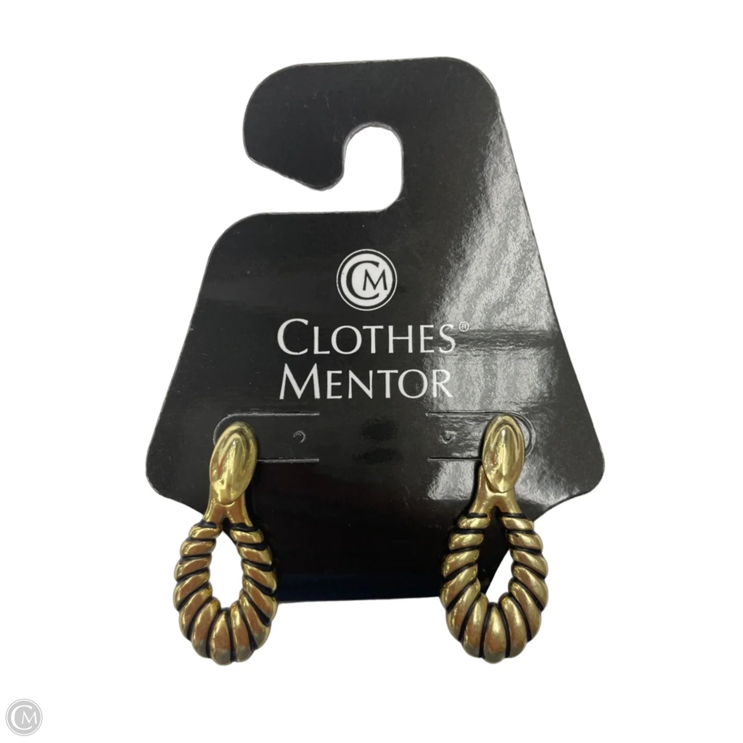Earrings Dangle/drop By Clothes Mentor