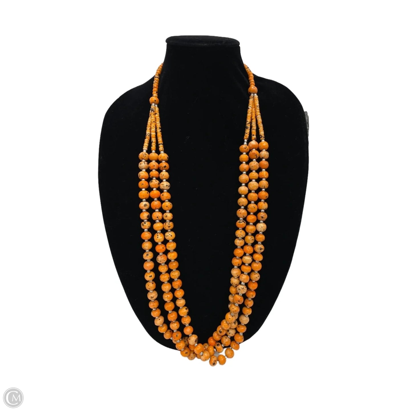 Necklace Layered By Clothes Mentor