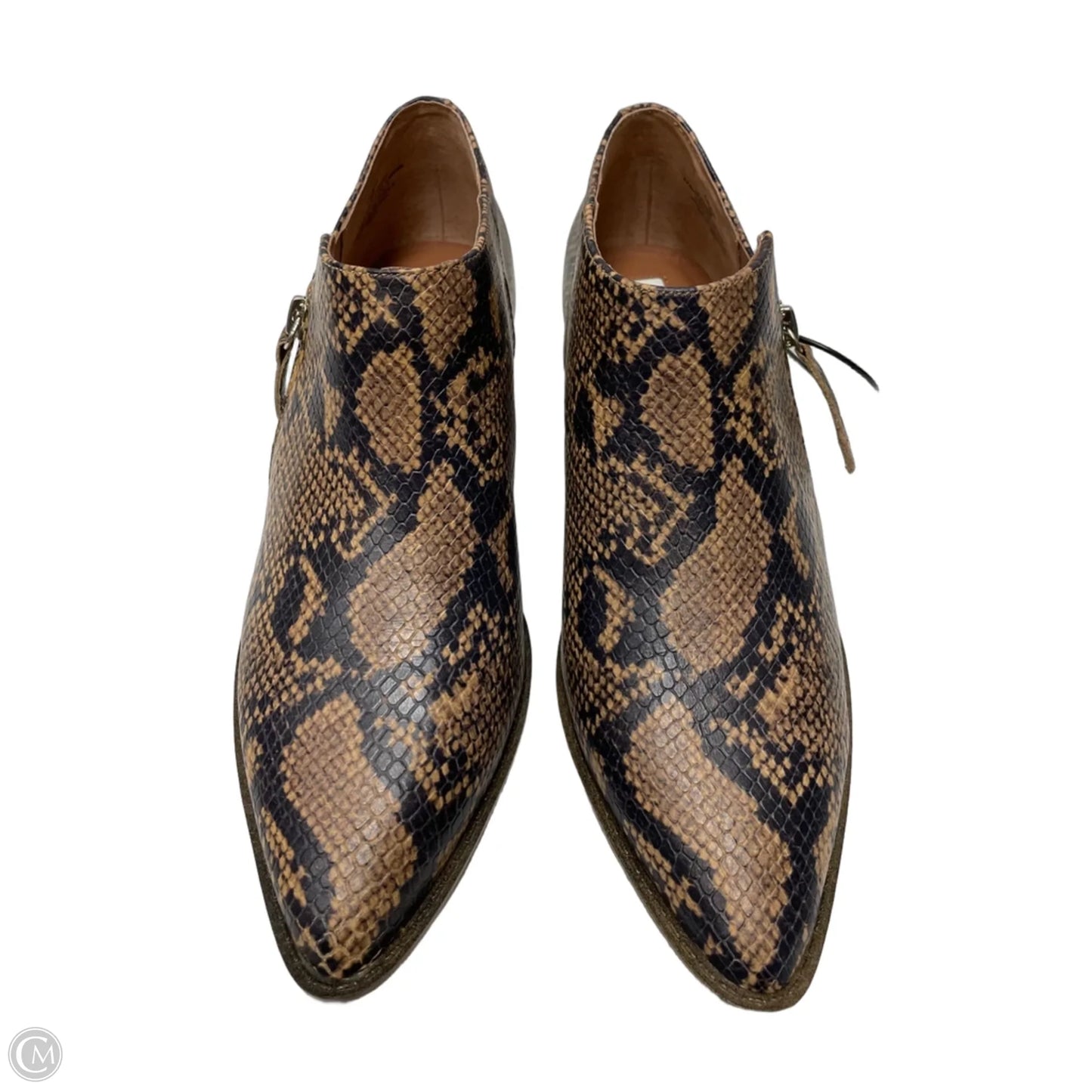 Shoes Heels Block By Chelsea And Violet In Snakeskin Print, Size: 9