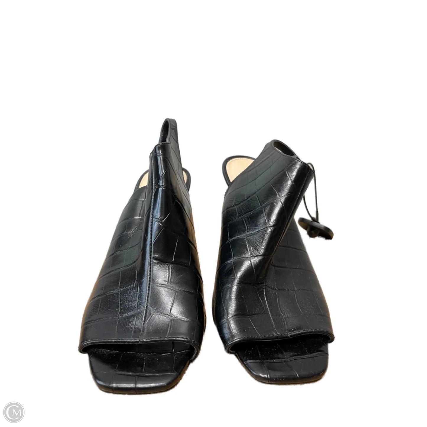 Shoes Heels Stiletto By Via Spiga In Black, Size: 8